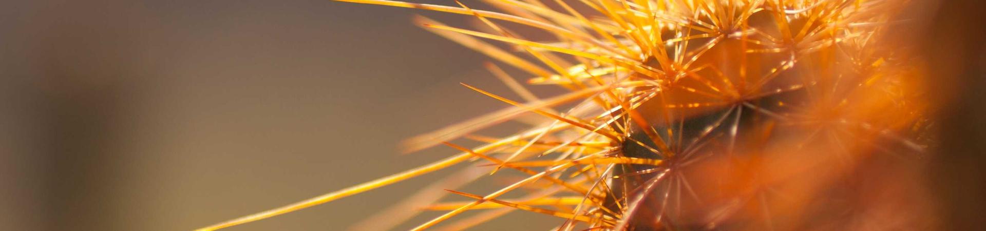 长春市骏马散热器有限公司 &middot; 德阳运营中心